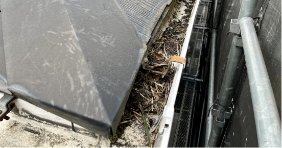 雨樋清掃通常8000円が4000円（50％OFF）