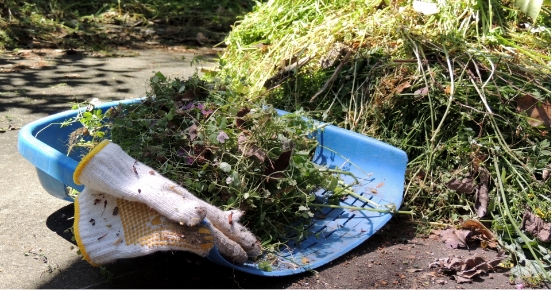 草刈り通常1時間8000円が4000円（50％OFF）