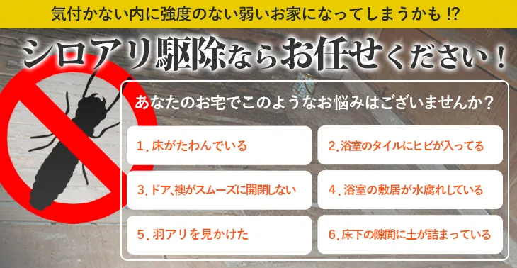 笠岡市、浅口市、鴨方町、里庄町周辺でシロアリ対策・駆除をお考えの方へ