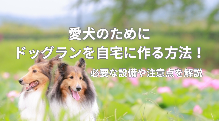 愛犬のためにドッグランを自宅に作る方法！必要な設備や注意点を解説